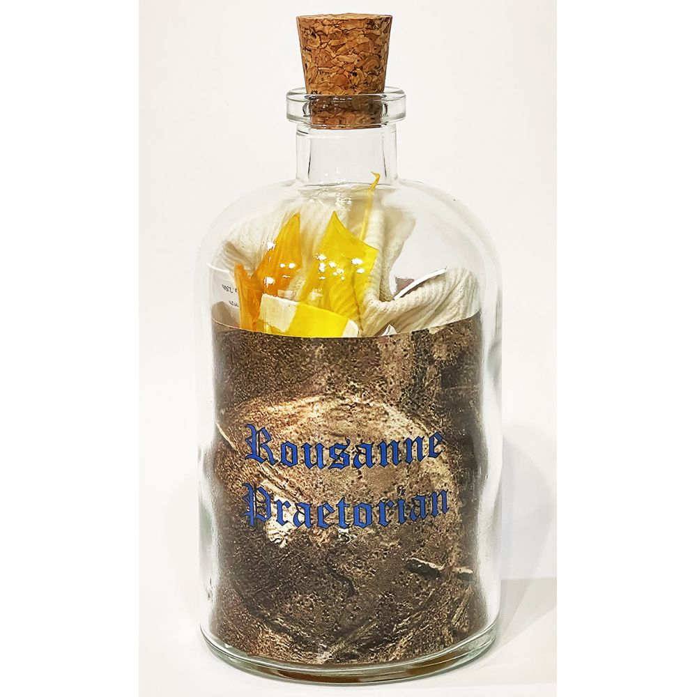 <br/>Rousanne Praetorian, 10/9/2025<br/>Apx 6½" x 3" x 3"<br/>glass, paper, ink, cork, plastic and cloth